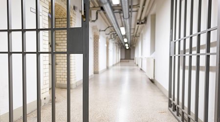 Ein gesuchter 26-Jähriger hat sich gestellt und sitzt nun in Haft. (Symbolbild) / Foto: Michael Matthey/dpa