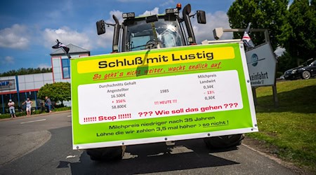 Die Erlöse der Milchviehhalter sind derzeit im Keller, gleichzeitig locken die Lebensmittelhändler mit extrem niedrigen Preisen Kunden an - kommt es wieder zu Bauernprotesten wie vor einigen Jahren? (Archivbild) / Foto: Sina Schuldt/dpa