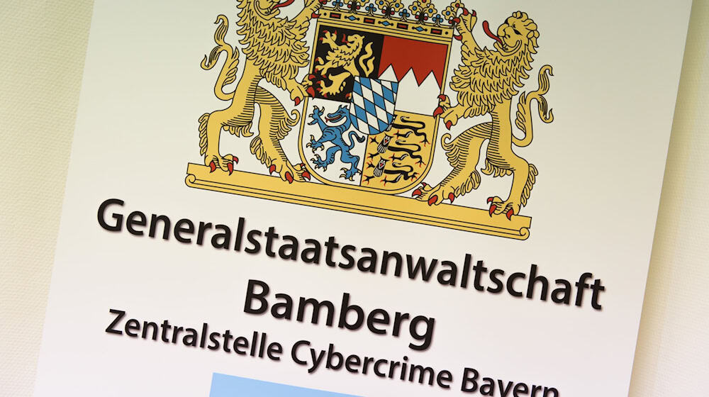 Die Bamberger Zentralstelle Cybercrime ist kriminellen Machenschaften beim Autoverkauf auf die Spur gekommen. (Symbolbild) / Foto: Nicolas Armer/dpa