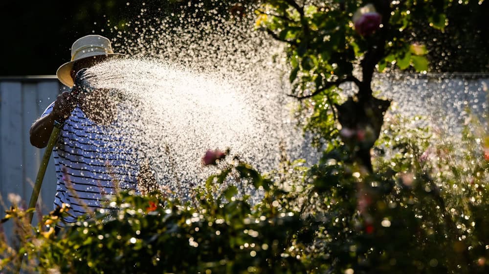 Niedersachsens rot-grüne Landesregierung reagiert mit einer Reform des Wassergesetzes auf Folgen des Klimawandels. (Symbolbild) / Foto: Julian Stratenschulte/dpa