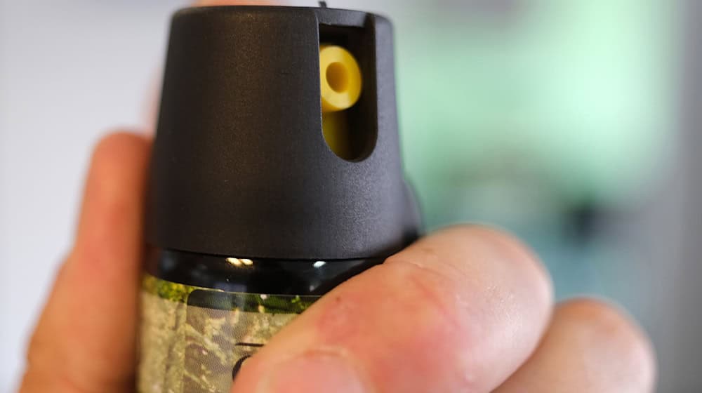 Unbekannte haben an einer Bremer Schule Reizgas versprüht. (Symbolbild) / Foto: Bernd Weißbrod/dpa