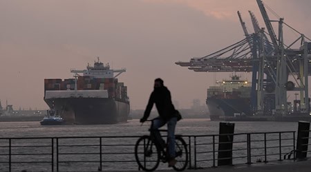 Ein Containerschiff wird zum Terminal Tollerort im Hamburger Hafen geschleppt. (Archivbild)  / Foto: Marcus Brandt/dpa
