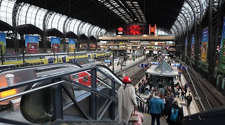 Im Hamburg werden laut Statistik mehr Züge und Bahnhofwände beschmiert. (Archivbild)  / Foto: Marcus Brandt/dpa