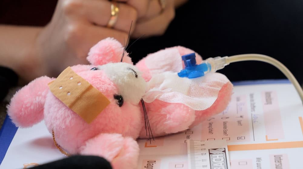 Die pinkfarbene Stoffmaus «Mausi» kam mit Bauchschmerzen zum Arzt – und wurde in Bissendorf liebevoll von kleinen Händen versorgt. / Foto: Jörn Hüneke/dpa