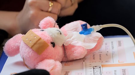 Die pinkfarbene Stoffmaus «Mausi» kam mit Bauchschmerzen zum Arzt – und wurde in Bissendorf liebevoll von kleinen Händen versorgt. / Foto: Jörn Hüneke/dpa