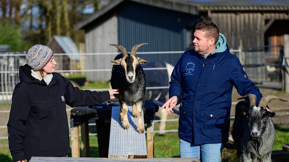 Ergotherapeutin Nina Steinberg und Sebastian Cramer führen eine kleine Übung mit Ziegen durch. (Archivbild) / Foto: Philipp Schulze/dpa