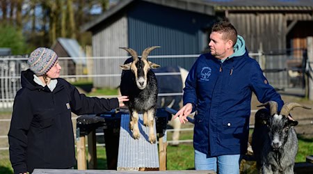Ergotherapeutin Nina Steinberg und Sebastian Cramer führen eine kleine Übung mit Ziegen durch. (Archivbild) / Foto: Philipp Schulze/dpa