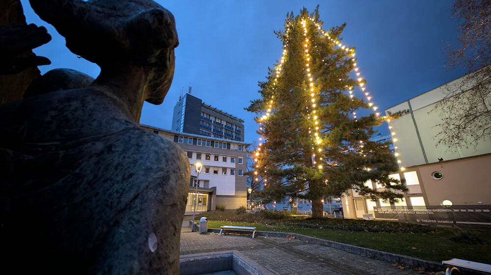 Die Lichterketten sind inzwischen zu klein für den Baum. / Foto: Stefan Rampfel/dpa
