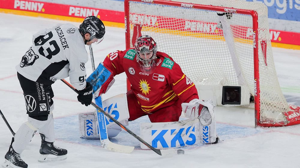 Wolfsburgs Spencer Machacek verlängert seinen Vertrag. (Archiv) / Foto: Rolf Vennenbernd/dpa