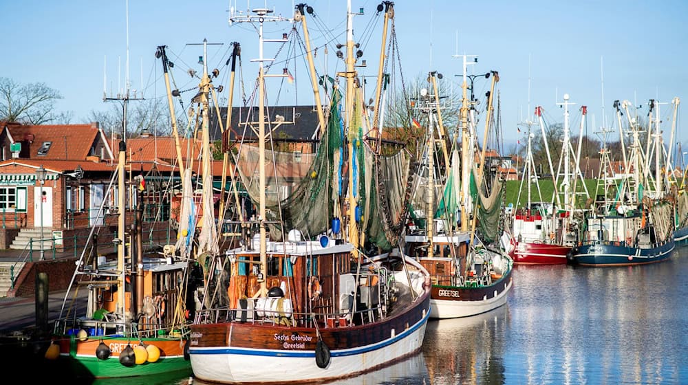 Solche traditionellen Krabbenkutter könnten bald in den Nordseehäfen weniger werden: In Ostfriesland arbeiten Wissenschaftler an einem «Zukunftskutter». (Archivbild) / Foto: Hauke-Christian Dittrich/dpa