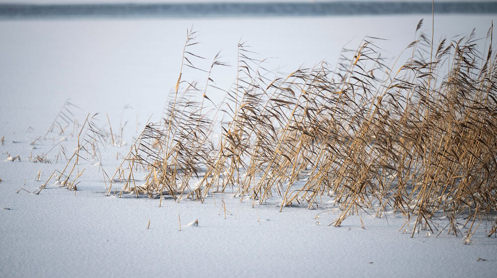 Vor dem Betreten von zugefrorenen Gewässern wird gewarnt. (Symbolbild) / Foto: Philip Dulian/dpa