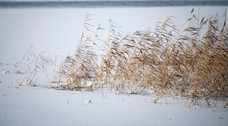 Vor dem Betreten von zugefrorenen Gewässern wird gewarnt. (Symbolbild) / Foto: Philip Dulian/dpa