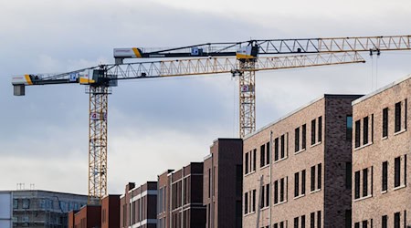 Die  norddeutschen Länder hatten am Freitag ein neues Positionspapier veröffentlicht. (Symbolbild) / Foto: Julian Stratenschulte/dpa