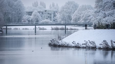 Der Bremer Werdersee hat aktuell eine dünne Eisschicht. (Archivbild) / Foto: Focke Strangmann/dpa