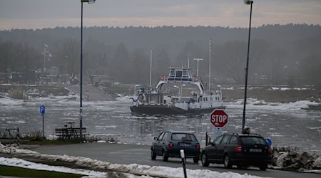 Nach Sturm und Eis auf der Elbe ist die Fähre «Tanja» wieder in Betrieb. / Foto: Philipp Schulze/dpa