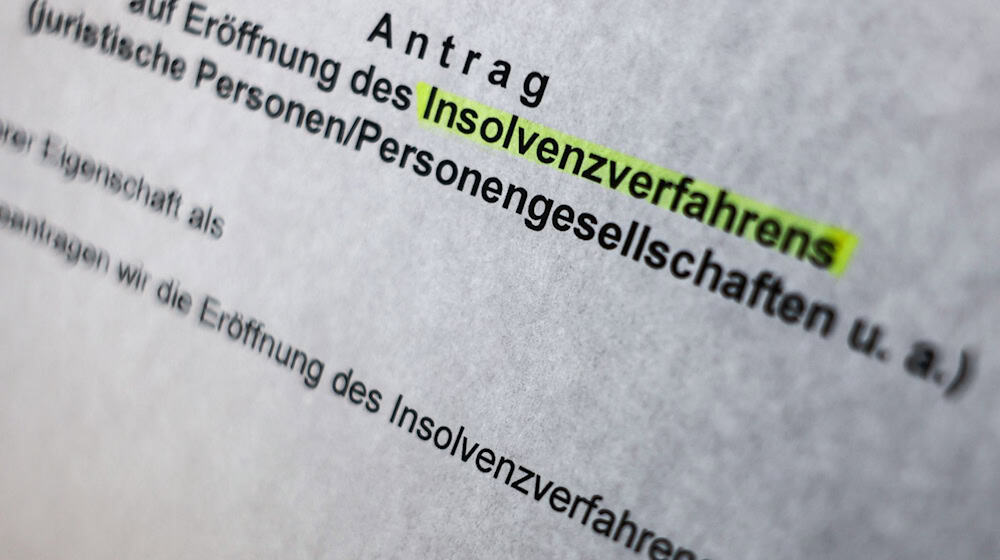Ein Antrag auf ein Insolvenzverfahren ist bei Zahlungsunfähigkeit oder Überschuldung zu stellen. (Symbolbild) / Foto: Oliver Berg/dpa