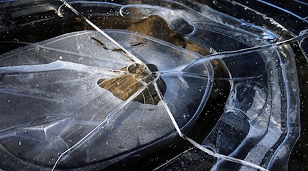 Der Junge kam stark unterkühlt ins Krankenhaus. (Symbolbild) / Foto: Karl-Josef Hildenbrand/dpa