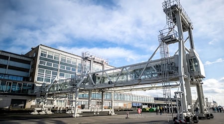 Die Bundespolizei nahm einen gesuchten Arbeiter im Kreuzfahrtterminal fest. (Archivbild) / Foto: Sina Schuldt/dpa