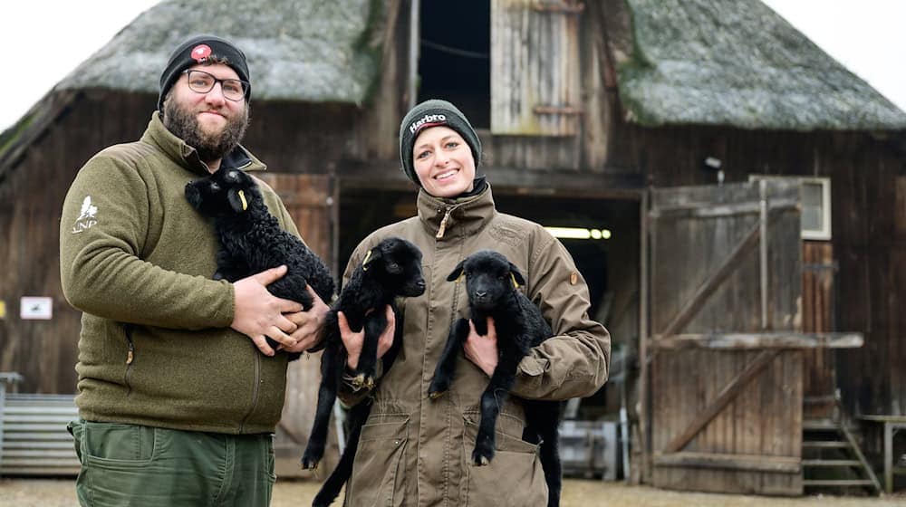 Für Schäfer und Schäferinnen wie Clemens Lippschuss und Josefine Schön ist die derzeitige Lammzeit eine extrem intensive und arbeitsreiche Zeit. / Foto: Philipp Schulze/dpa