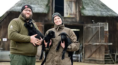 Für Schäfer und Schäferinnen wie Clemens Lippschuss und Josefine Schön ist die derzeitige Lammzeit eine extrem intensive und arbeitsreiche Zeit. / Foto: Philipp Schulze/dpa
