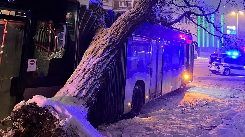 Bei Winterwetter in Hildesheim ist ein Bus gegen einen Baum gefahren und hat diesen entwurzelt. / Foto: Berufsfeuerwehr der Stadt Hildesheim/dpa