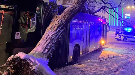 Bei Winterwetter in Hildesheim ist ein Bus gegen einen Baum gefahren und hat diesen entwurzelt. / Foto: Berufsfeuerwehr der Stadt Hildesheim/dpa