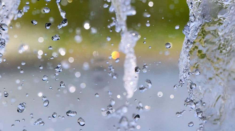 Die genauen Auswirkungen der Erwämung sind noch unklar. (Symbolbild) / Foto: Julian Stratenschulte/dpa