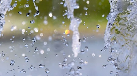 Die genauen Auswirkungen der Erwämung sind noch unklar. (Symbolbild) / Foto: Julian Stratenschulte/dpa