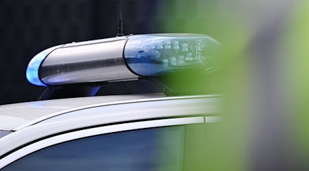 Die Bundespolizei fasst einen international Gesuchten bei einer Grenzkontrolle. (Symbolbild)  / Foto: Katharina Kausche/dpa