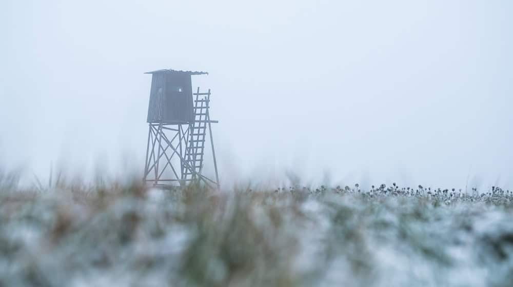 Der Jäger schoss aus seinem Hochsitz. (Symbolbild) / Foto: Silas Stein/dpa