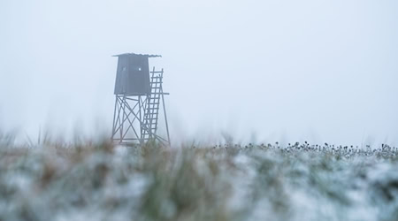 Der Jäger schoss aus seinem Hochsitz. (Symbolbild) / Foto: Silas Stein/dpa