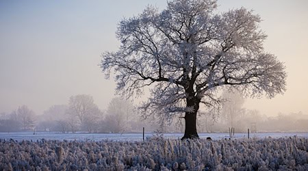 Das Winterwetter brachte vielerorts im Nordwesten klirrende Kälte.  / Foto: Moritz Frankenberg/dpa