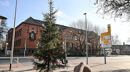 Holzminden hat seinen «Little Ugly Christmas Tree» in der Adventszeit lieb gewonnen. / Foto: Swen Pförtner/dpa
