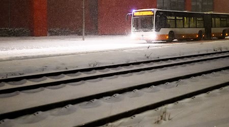 Trotz möglicher Busausfälle sollen die Schüler im Kreis Hameln-Pyrmont wieder in die Schule. (Symbolbild) / Foto: Julian Stratenschulte/dpa