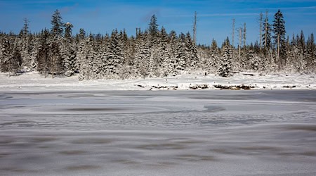 Strengstens verboten: Die Harzwasserwerke warnen davor, vereiste Teiche und Talsperren im Harz zu betreten. (Archivbild) / Foto: Moritz Frankenberg/dpa