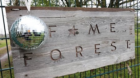 Erst Glitzer, Glamour und Nebelmaschine - dann Naturschutz mit einem eigenen Baum im Fame Forest. In und um Hamburg wird für jede Veranstaltung in der Barclays Arena ein Baum gepflanzt. (Archivbild) / Foto: Christian Charisius/dpa