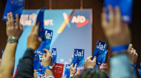 Mit der Jugendorganisation Generation Deutschland setzt die AfD auf einen Neuanfang – nun soll auch in Niedersachsen ein Landesverband entstehen. (Archivbild) / Foto: Andreas Arnold/dpa