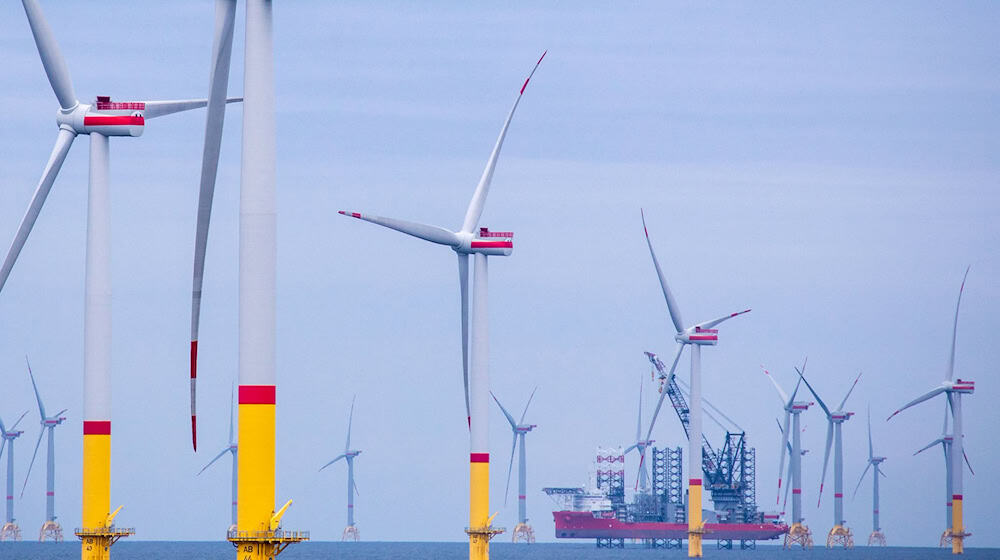 Die Bundesregierung hat das Ziel, dass in der Nord- und Ostsee viele neue Windräder installiert werden. (Archivbild)  / Foto: Jens Büttner/dpa-Zentralbild/dpa