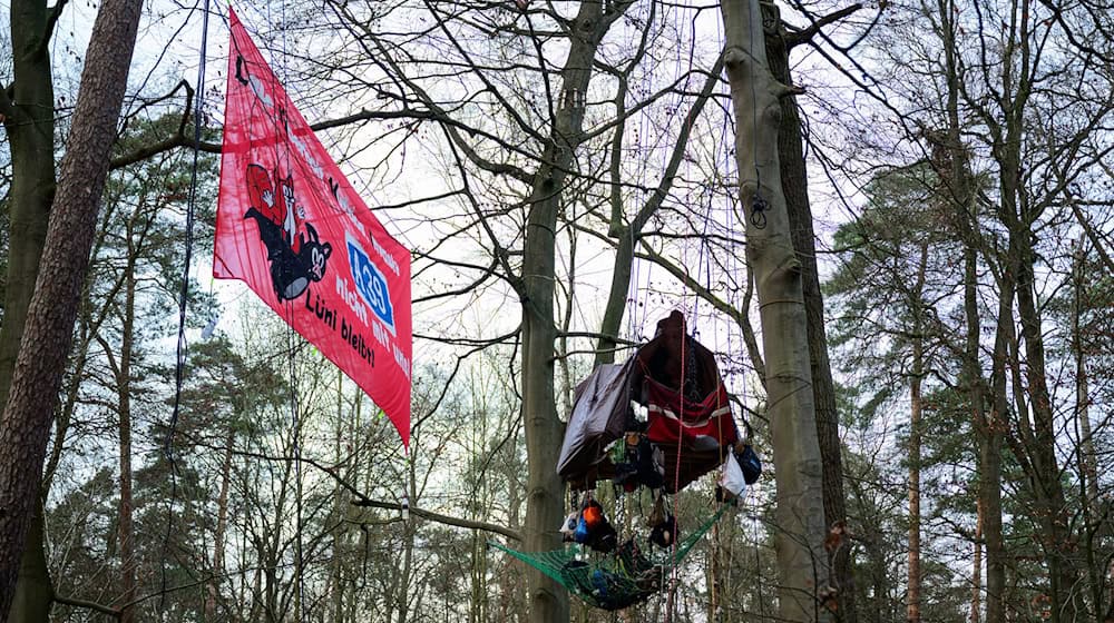 Eine kleine Gruppe demonstriert im Wald gegen den Ausbau der A39. (Archivbild)  / Foto: Philipp Schulze/dpa