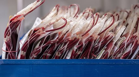 Zum Jahresbeginn wurde teilweise weniger Blut gespendet als üblich. (Symbolbild) / Foto: Robert Michael/dpa