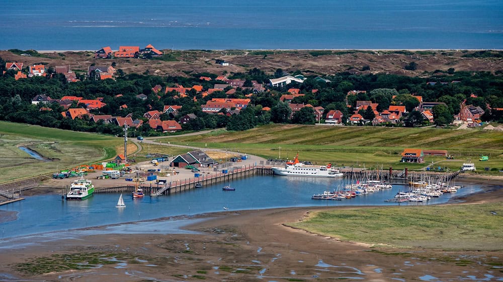 Für die Glasfaseranbindung Spiekeroogs wird ein Kabel durchs Watt gelegt. (Symbolbild) / Foto: Hauke-Christian Dittrich/dpa