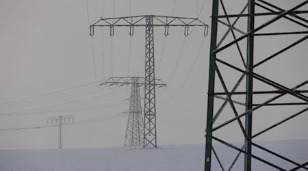 Stromleitungen von Avacon: Wegen des Wintersturms rüstet der Versorger die Bereitschaft auf. (Archivbild) / Foto: Matthias Bein/dpa