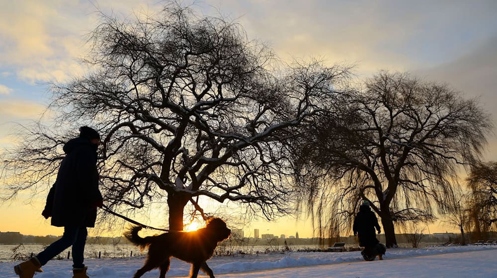 Meteorologen erwarten am Freitag bis zu 15 Zentimeter Neuschnee und kräftigen Wind in Norddeutschland.  / Foto: Christian Charisius/dpa