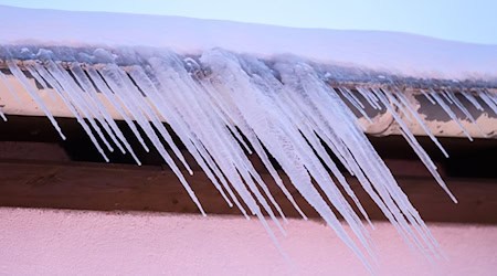 Viele Sporthallen sind nach den Sperrungen wieder frei. (Archivbild)  / Foto: Julian Stratenschulte/dpa