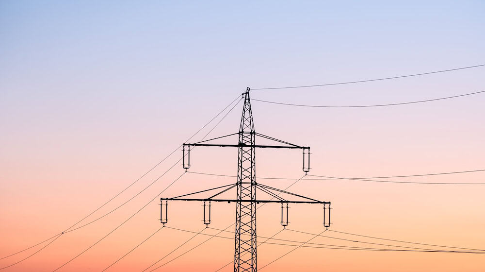 Mit Notfallplänen und Überungen rüsten sich die Netzbetreiber gegen mögliche Anschläge auf Stromleitungen. (Symbolfoto) / Foto: Silas Stein/dpa