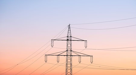 Mit Notfallplänen und Überungen rüsten sich die Netzbetreiber gegen mögliche Anschläge auf Stromleitungen. (Symbolfoto) / Foto: Silas Stein/dpa