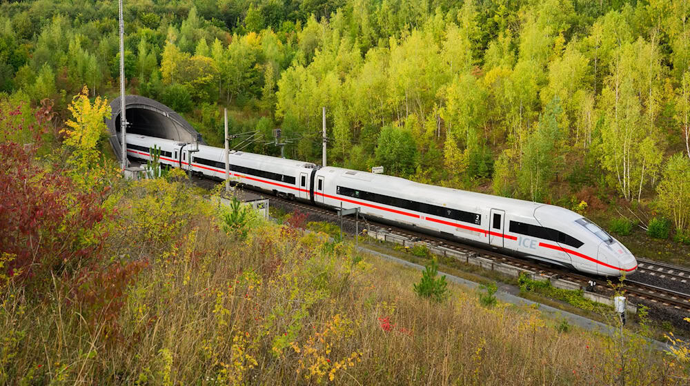 Die Bahnstrecke zwischen Hannover und Hamburg ist eine wichtige Verbindung im Norden und stark überlastet. (Archivbild) / Foto: Shireen Broszies/dpa
