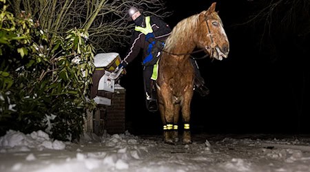 Marcus Zotan trägt am frühen Morgen auf dem Rücken seines Pferdes Wilko die Cellesche Zeitung in dem Dorf Wiedenrode im Landkreis Celle aus. / Foto: Moritz Frankenberg/dpa