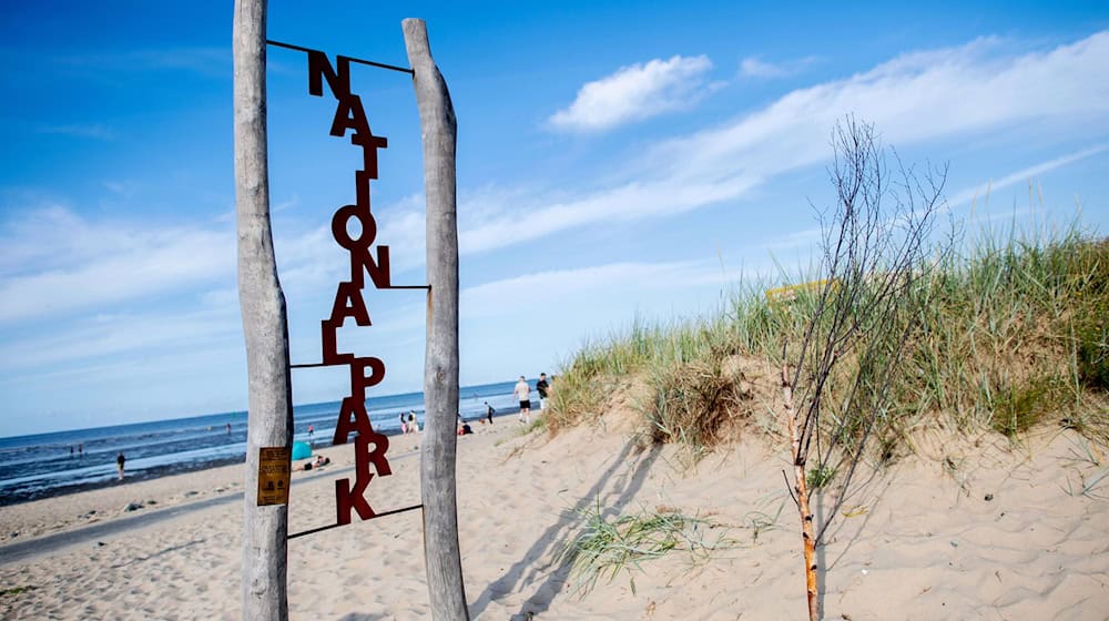 Der Nationalpark Wattenmeer gilt als Aushängeschild Niedersachsens. (Archivbild) / Foto: Hauke-Christian Dittrich/dpa