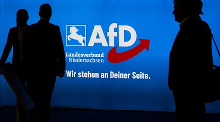 Die AfD Niedersachsen wurde seit 2022 als Verdachtsobjekt beobachtet. (Archivbild) / Foto: Julian Stratenschulte/dpa